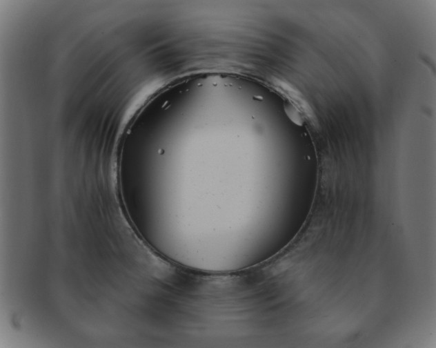 X0000091341188200708241216