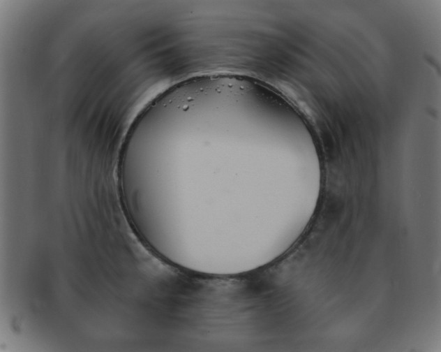 X0000091341189200708241216