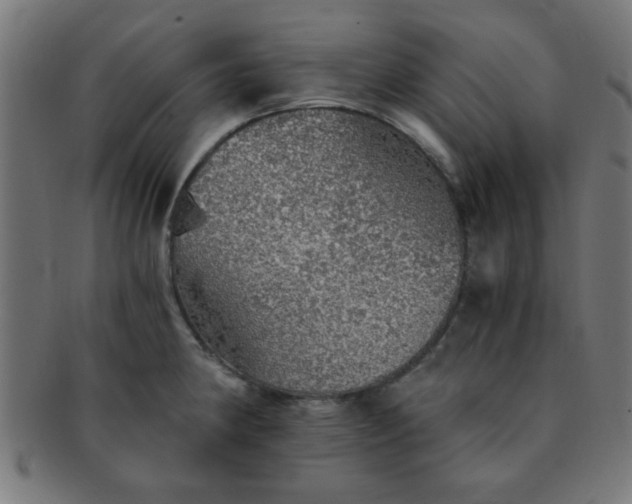 X0000091341190200708241216