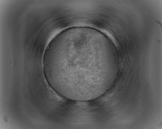 X0000091341191200708241216