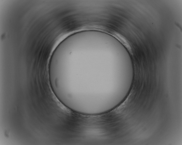 X0000091341192200708241216