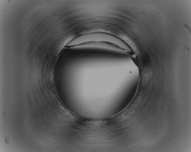 X0000091341193200708241216