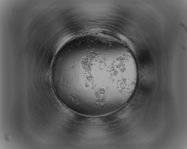 X0000091341194200708241216