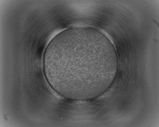 X0000091341195200708241216