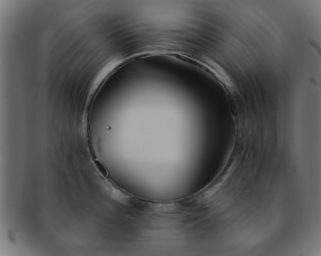 X0000091341196200708241216