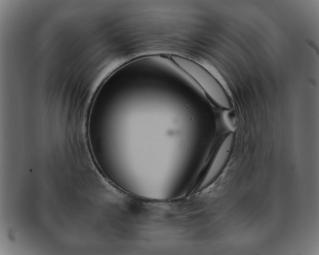 X0000091341197200708241216