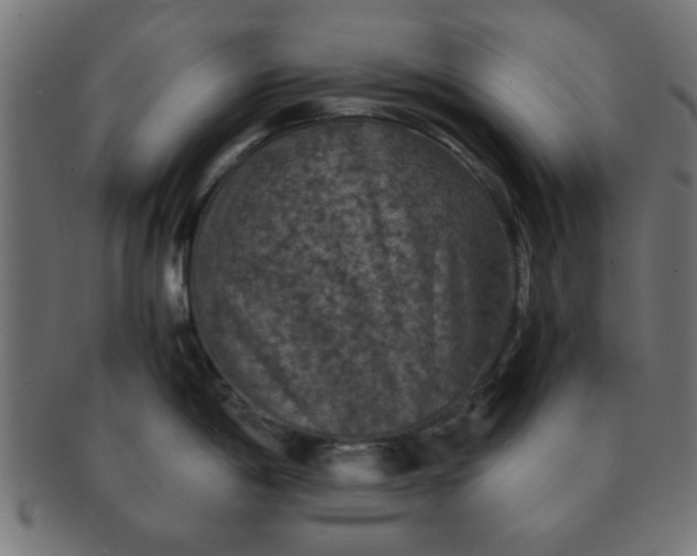 X0000091341198200708241216