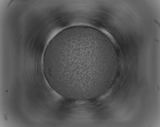 X0000091341199200708241216