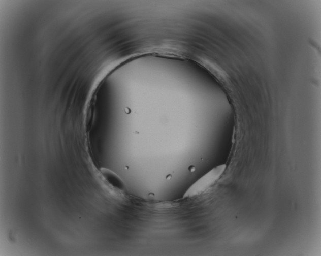 X0000091341200200708241216