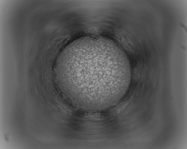 X0000091341201200708241215