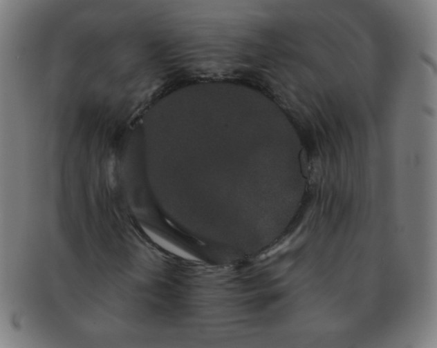 X0000091341202200708241215