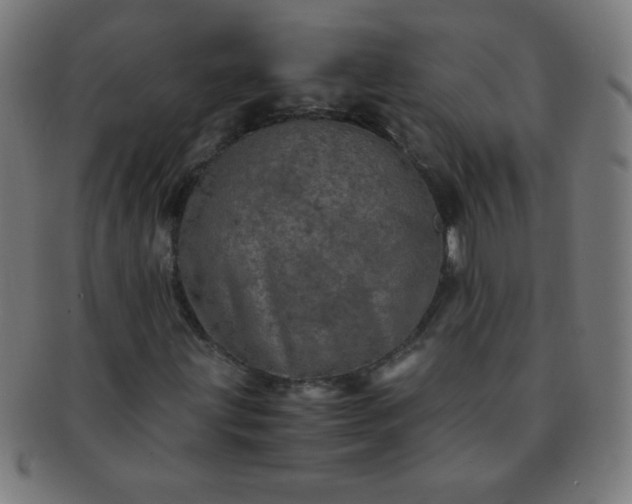 X0000091341203200708241215