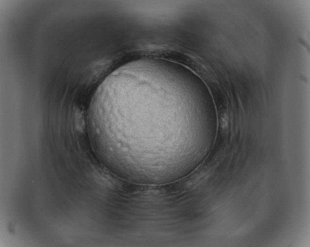 X0000091341204200708241215