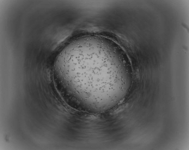 X0000091341205200708241215
