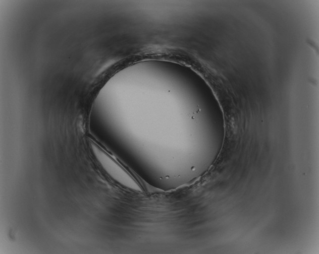 X0000091341206200708241215