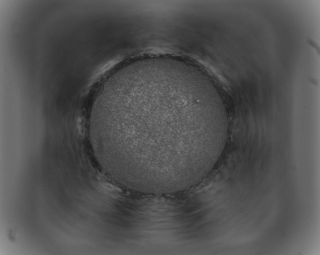 X0000091341207200708241215