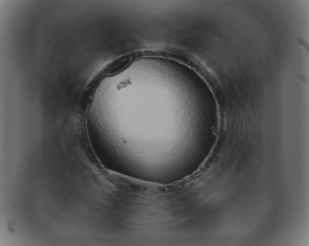 X0000091341208200708241215