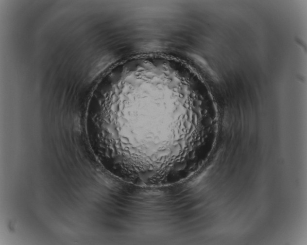 X0000091341209200708241215