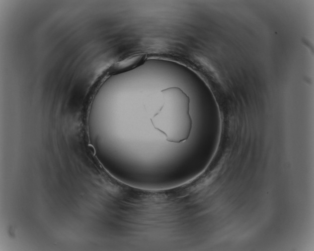 X0000091341210200708241215