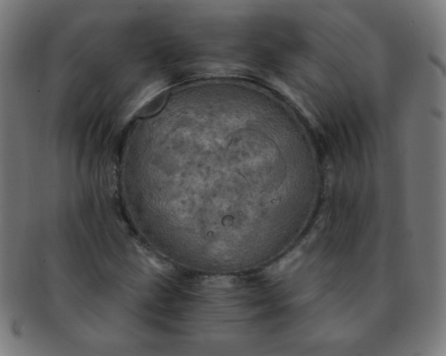 X0000091341211200708241215