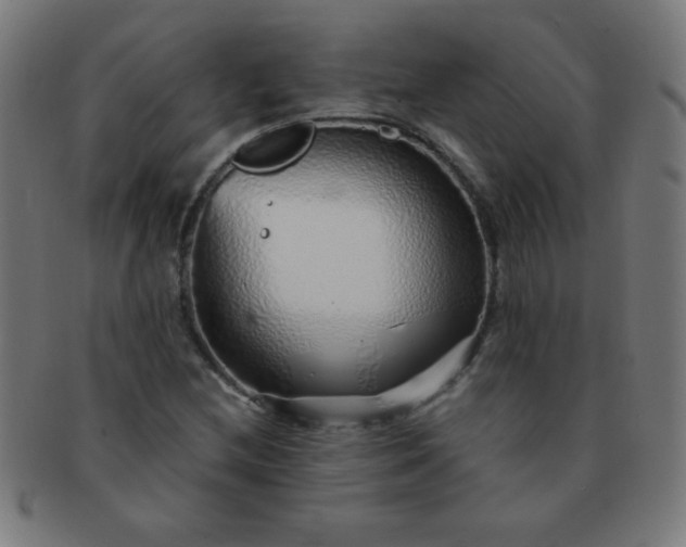 X0000091341212200708241216