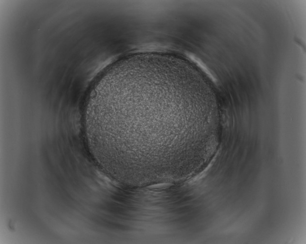 X0000091341213200708241216