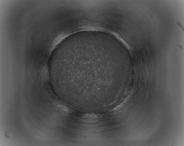 X0000091341215200708241216