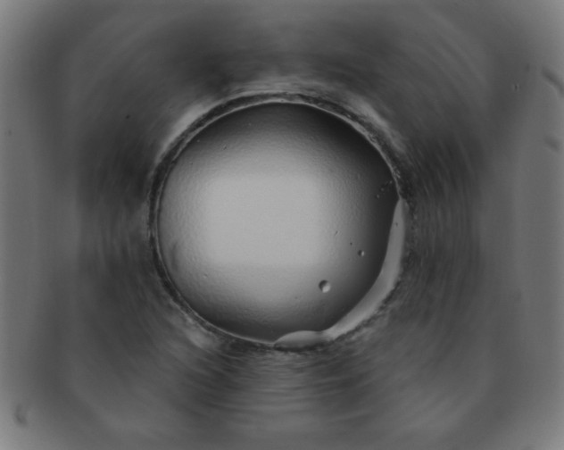 X0000091341216200708241216