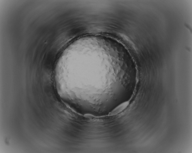 X0000091341217200708241216