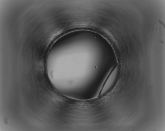 X0000091341218200708241216