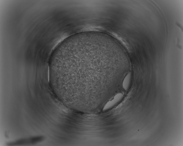 X0000091341219200708241216