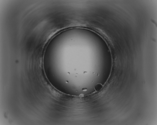 X0000091341220200708241216