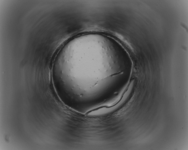 X0000091341221200708241216