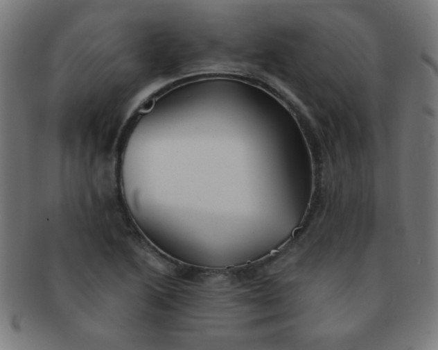 X0000091341222200708241216