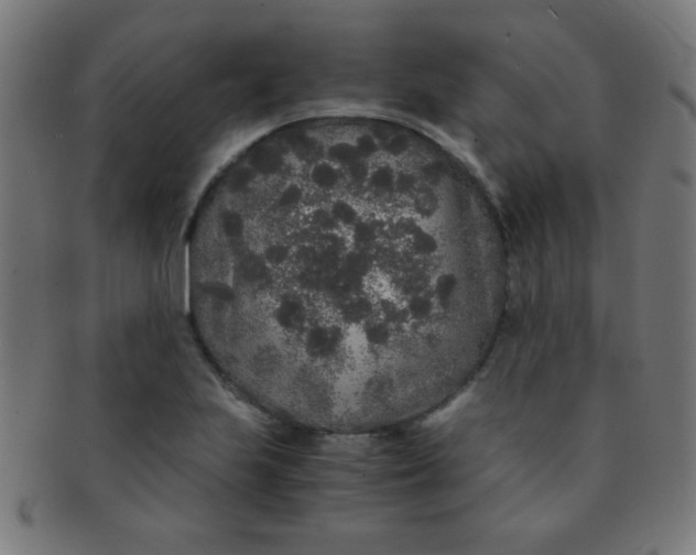 X0000091341223200708241216