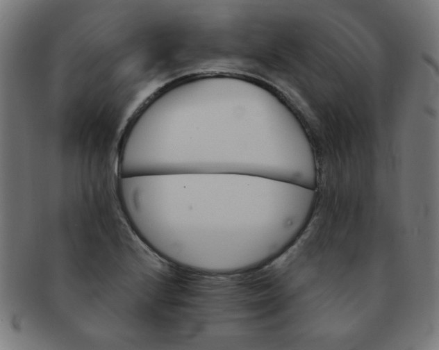 X0000091341224200708241216