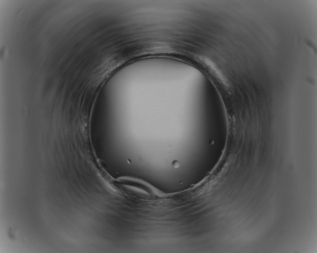 X0000091341225200708241216