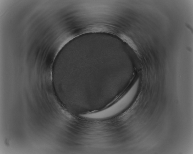 X0000091341226200708241216