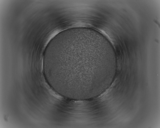 X0000091341227200708241216