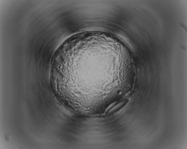 X0000091341228200708241216