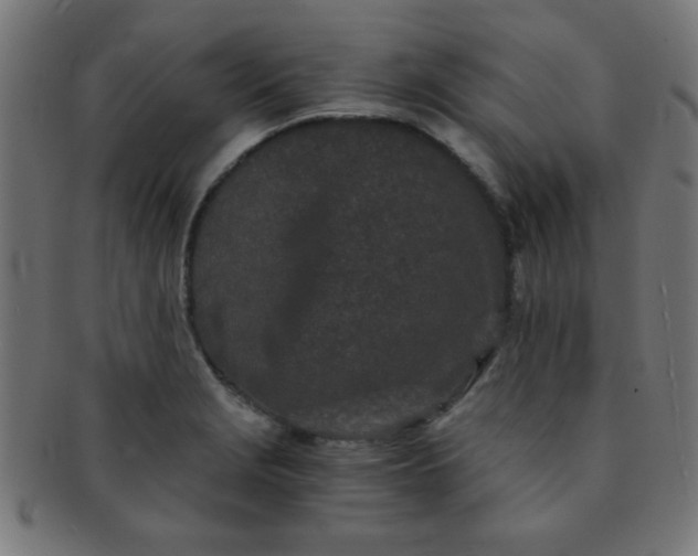 X0000091341229200708241216