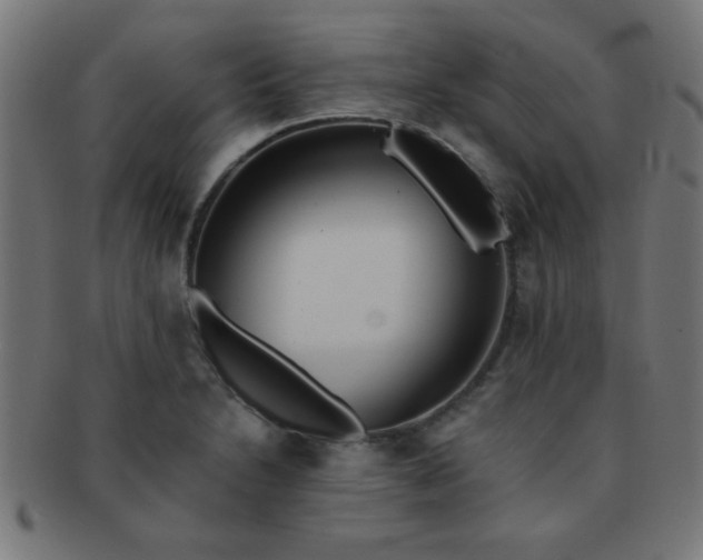 X0000091341230200708241216