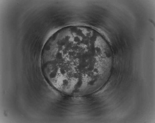 X0000091341231200708241216