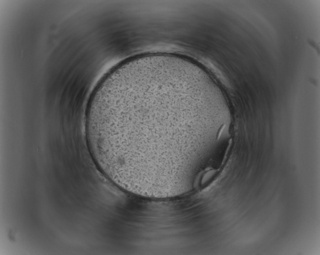 X0000091341232200708241216