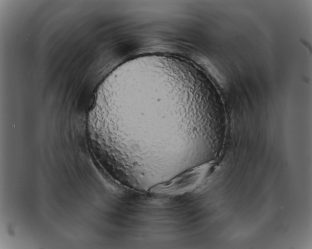 X0000091341233200708241216