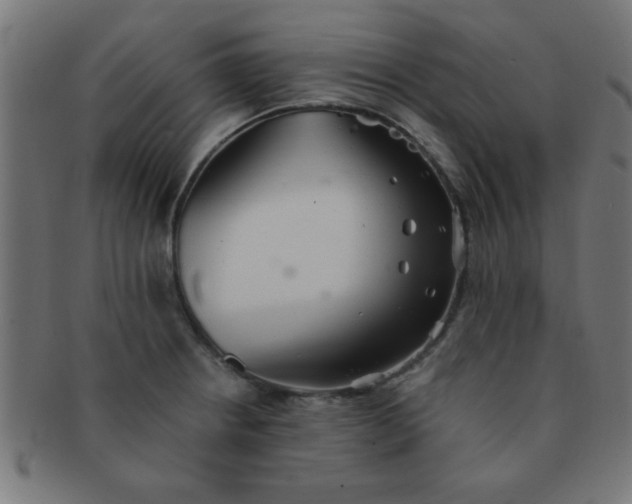 X0000091341234200708241216