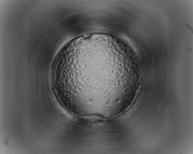 X0000091341235200708241216