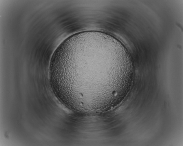 X0000091341236200708241216