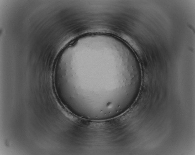 X0000091341237200708241216