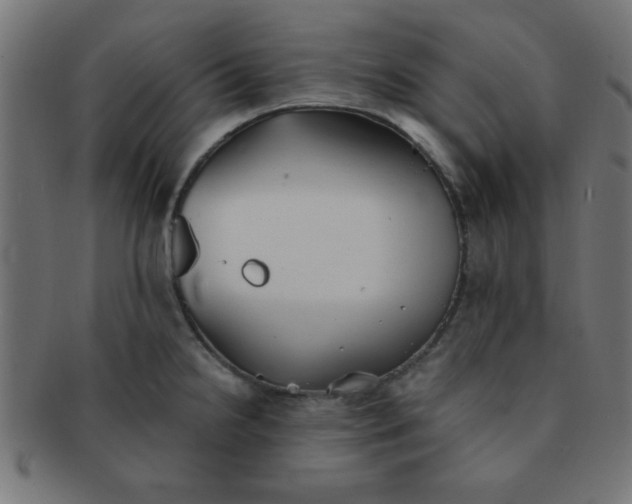 X0000091341238200708241216